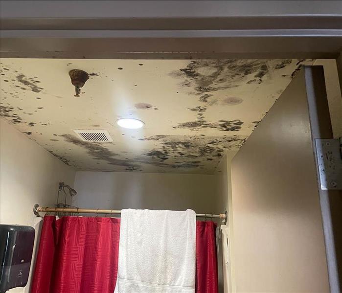 Commercial building with mold damage