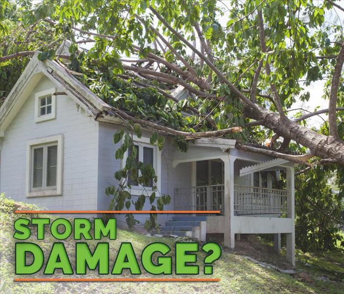 Tree fallen on house and the words "Storm Damage?"